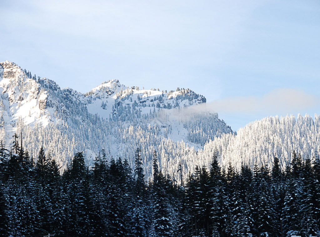 Snowy mountains with trees
