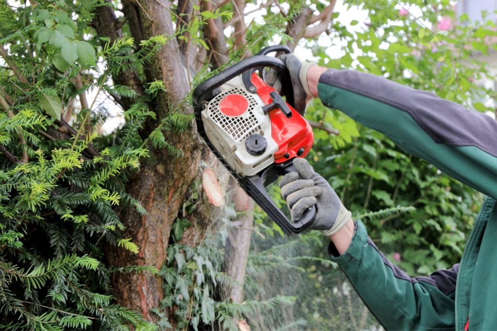 an arm holding a chainsaw cutting a tree limb